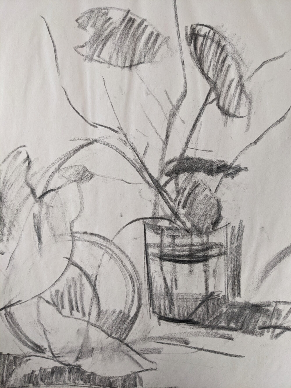 Intro to Drawing (Tuesdays PM) May/June - Image 2