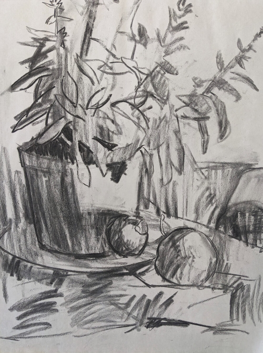 Intro to Drawing (Tuesdays PM) May/June - Image 4